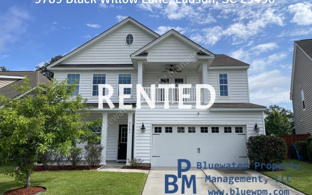 9789 Black Willow