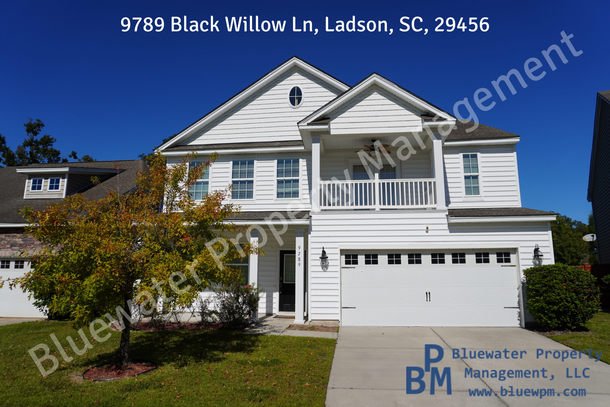 9789 Black Willow FOR RENT