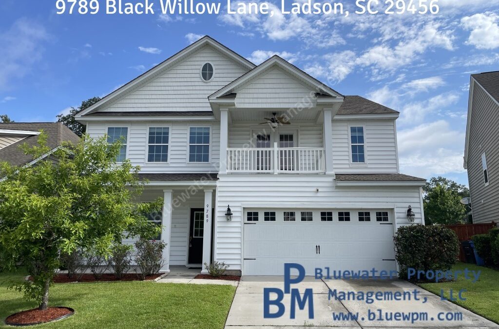 9789 Black Willow