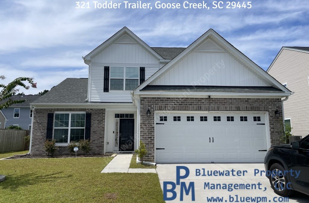 321 Todder Tr, Goose Creek, SC 29445